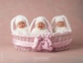 /album/galerie-photos/a291149-3ki4u5bf7p4q8vuwpko4lzpevz5qxq-4256415-h114249-l-jpg/