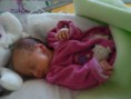 /album/galerie-photos/p1060674-jpg/